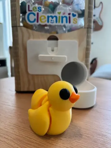 Le canard